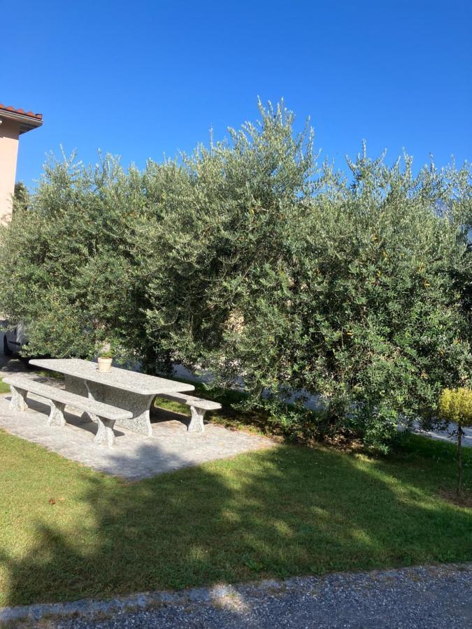 Residenza Giovanni Contone Exterior photo